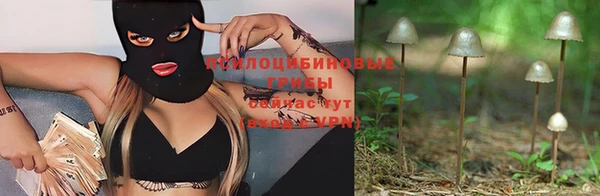 хмурый Арсеньев