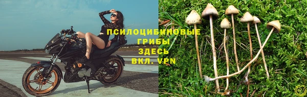 хмурый Арсеньев