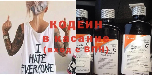 хмурый Арсеньев