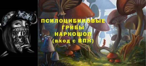 хмурый Арсеньев