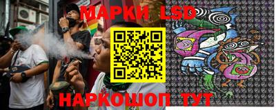 Альфа ПВП Малгобек