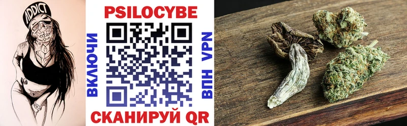 Галлюциногенные грибы Psilocybe  кракен маркетплейс  Тара  купить закладку 