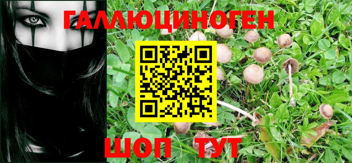 закладки  Вход с VPN  Галлюциногенные грибы мицелий  Тара  Галлюциногенные грибы ЛСД 