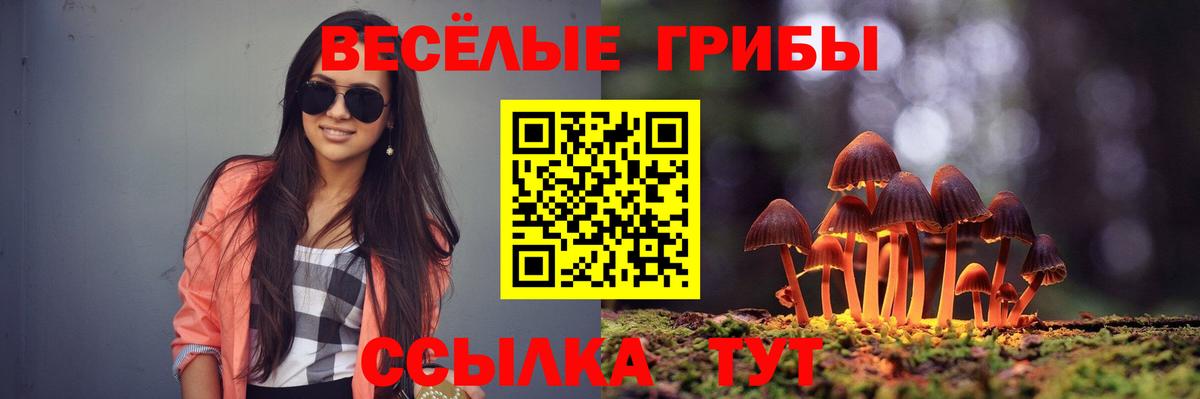 Псилоцибиновые грибы Magic Shrooms Тара
